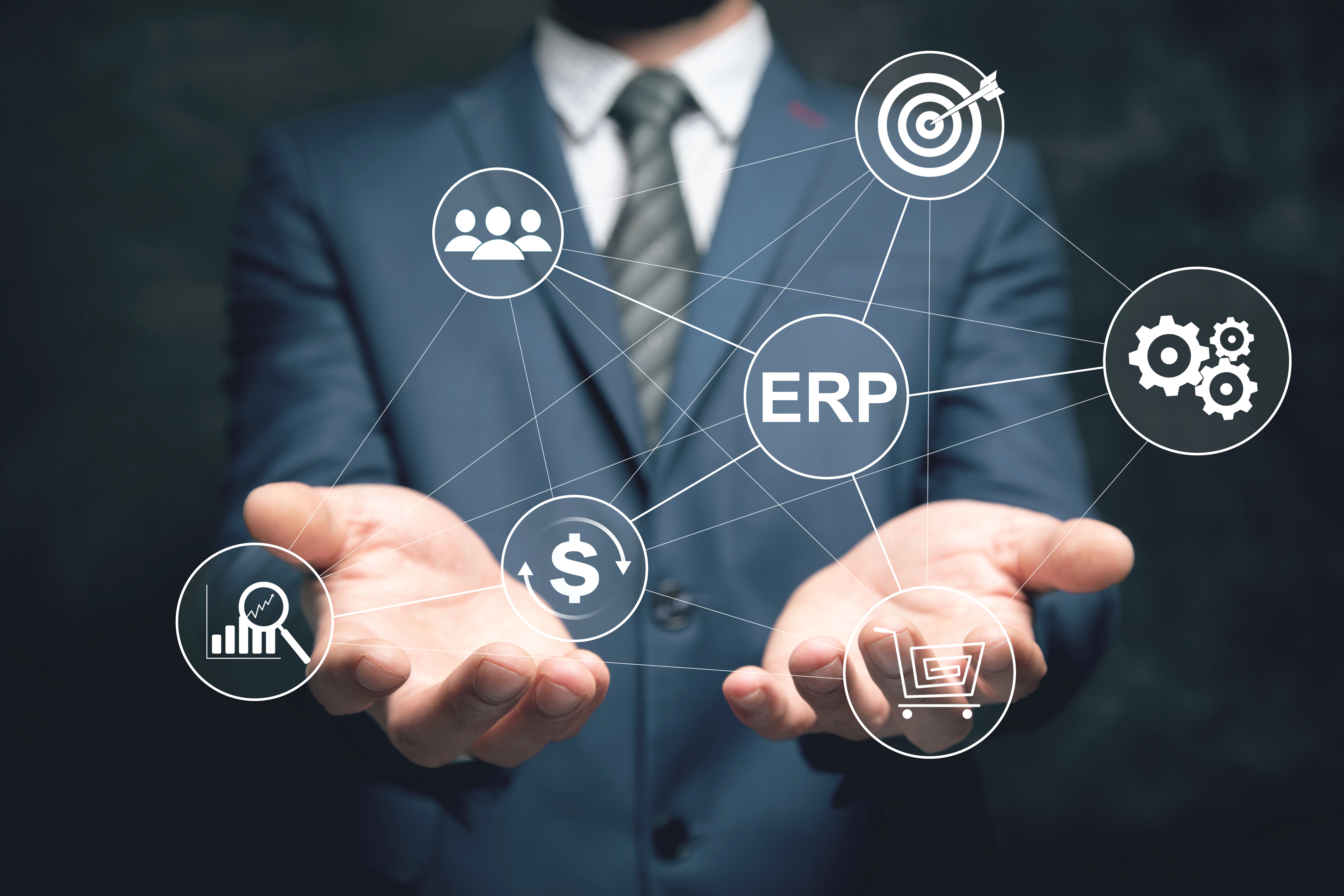 ERP Nedir?